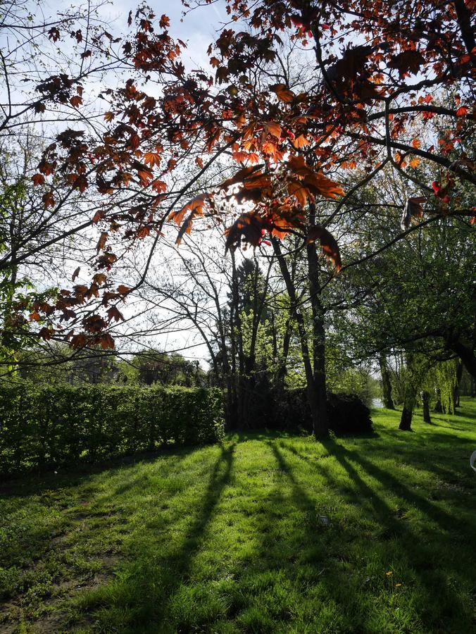 Le Jardin De La Reyssouze Panzió Gorrevod Kültér fotó